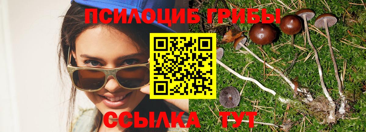 Северск  Псилоцибиновые грибы прущие грибы  Вход с VPN 
