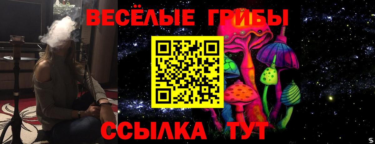Галлюциногенные грибы MAGIC MUSHROOMS Северск